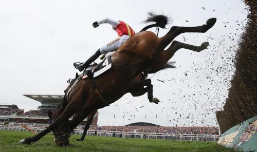 Лучшие спортивные фотографии 2010 года