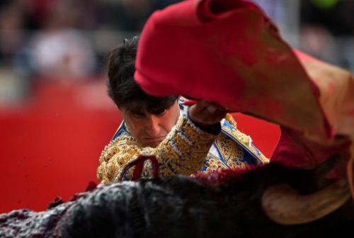 Лучшие спортивные фотографии 2010 года