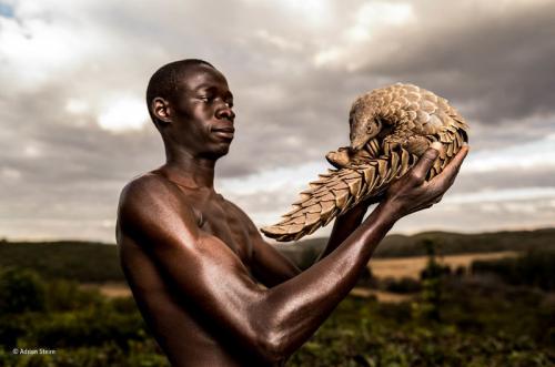 Фото убитого носорога стало победителем Wildlife Photographer of the Year 2017