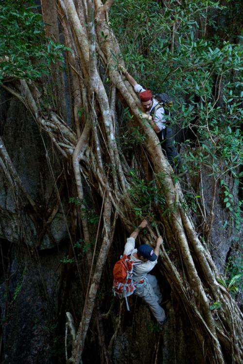 На Мадагаскаре «растёт» каменный лес