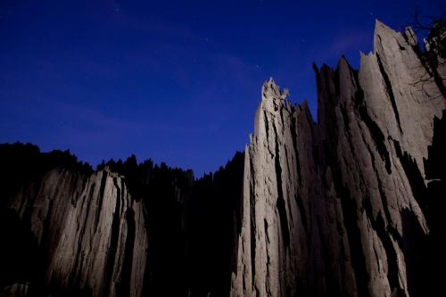 На Мадагаскаре «растёт» каменный лес