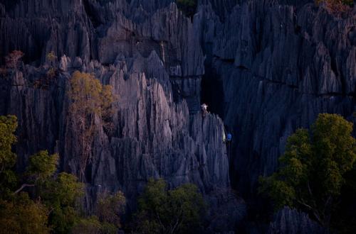 На Мадагаскаре «растёт» каменный лес