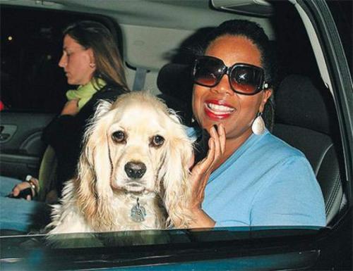 Звездные пары, которые не спешили заключать брак