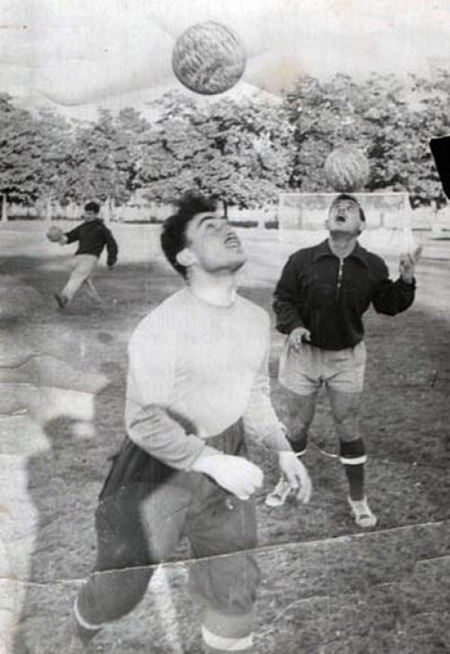 Звезды, профессионально занимавшиеся спортом