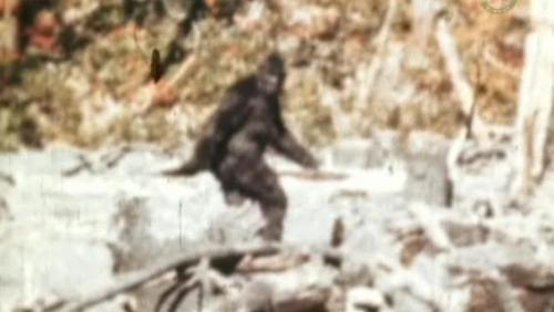 Самые знаменитые фотоподделки