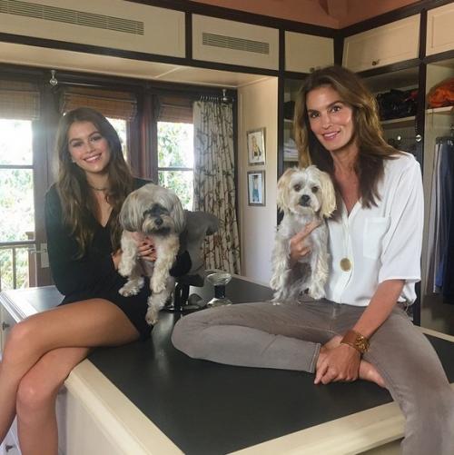 Звездные дочери знаменитых родителей: девочки созрели!