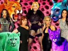 Хищницы или знаменитые женщины, предпочитающие мужчин помоложе