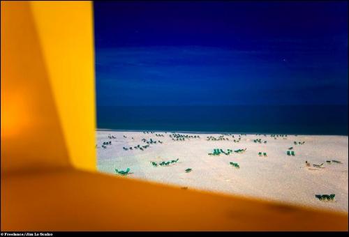 Ассоциация фотографов Белого дома вручила свои премии