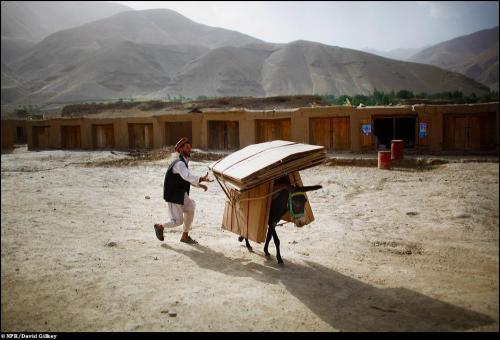 Ассоциация фотографов Белого дома вручила свои премии