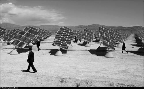 Ассоциация фотографов Белого дома вручила свои премии