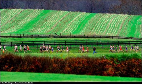 Ассоциация фотографов Белого дома вручила свои премии