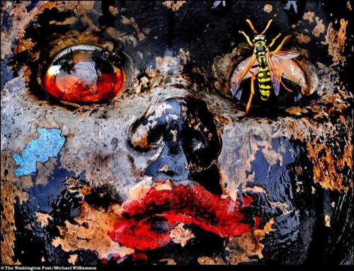 Ассоциация фотографов Белого дома вручила свои премии