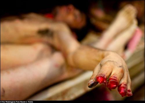 Ассоциация фотографов Белого дома вручила свои премии