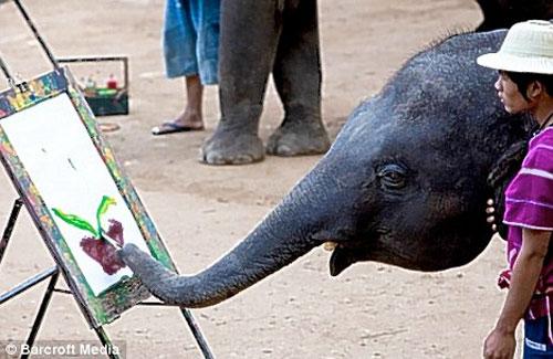 Таиландские слоны поражают мир шедеврами живописи