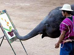 Таиландские слоны поражают мир шедеврами живописи
