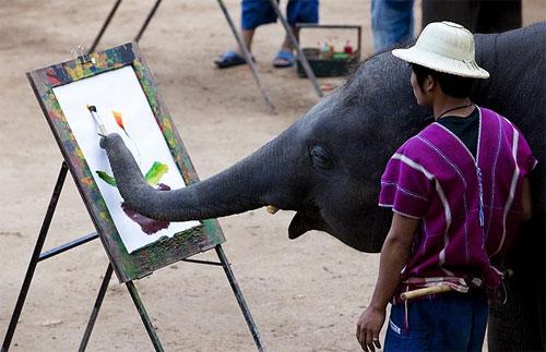 Таиландские слоны поражают мир шедеврами живописи