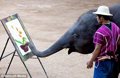 Таиландские слоны поражают мир шедеврами живописи