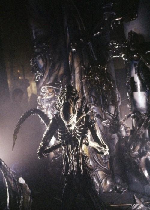 Все фильмы с лучшими спецэффектами по версии «Оскара»