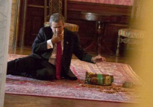 Великие фотоподставы: такими великих вы увидите вряд ли …