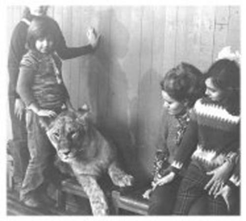 Домашние львы и тигры: от идиллии до трагедии один миг