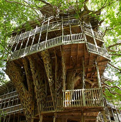 Самый большой в мире дом на дереве