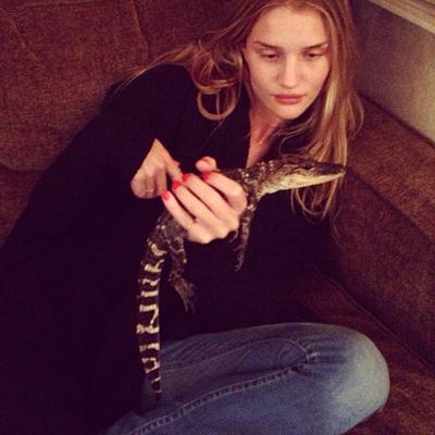 Последние фотографии звезд из Твиттеров