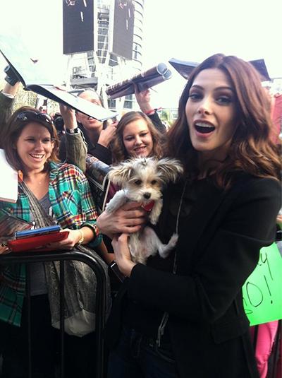 Последние фотографии звезд из Твиттеров