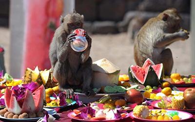 Самые сумасшедшие и веселые фестивали в мире