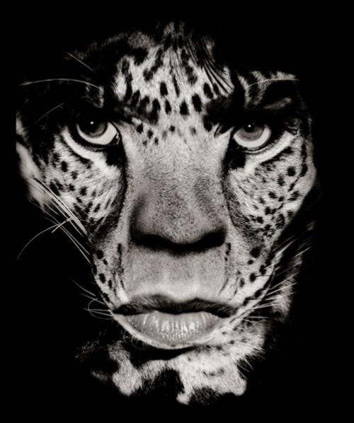 Невероятные снимки знаменитостоей от Альберта Уотсона