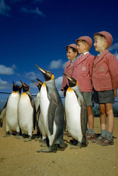 27 неопубликованных фотографий из архивов National Geographic