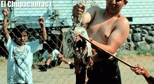 Неизвестные науке монстры пугают своим видом