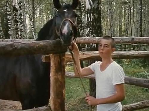 Неизвестные факты из жизни Сергея Бодрова и тайна гибели актера