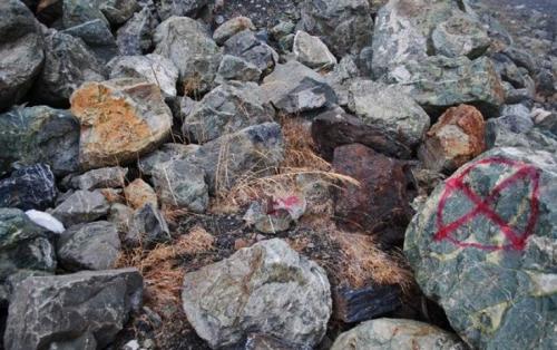 Неизвестные факты из жизни Сергея Бодрова и тайна гибели актера