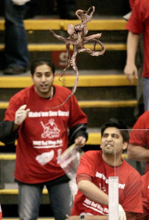 Лучшие спортивные фото Reuters 2008 года