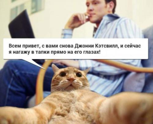 Самые известные мемы в истории Интернета