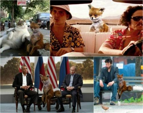 Самые известные мемы в истории Интернета