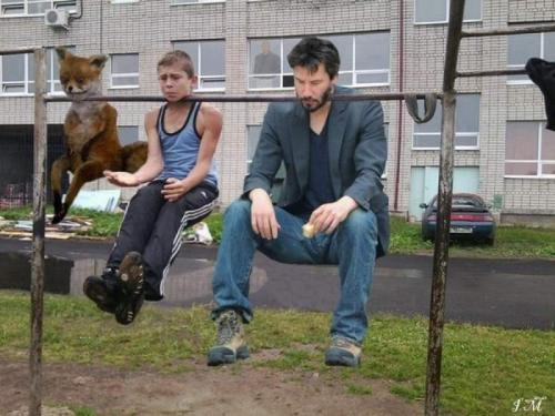 Самые известные мемы в истории Интернета