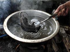 В новый год Мыши на счастье нужно съесть крысу