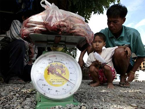 В новый год Мыши на счастье нужно съесть крысу