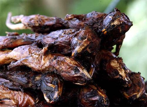 В новый год Мыши на счастье нужно съесть крысу