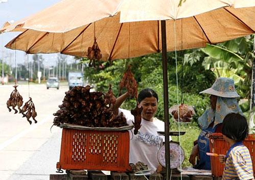 В новый год Мыши на счастье нужно съесть крысу