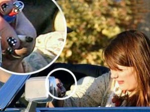 Миша Бартон забила косячок