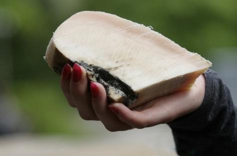 Слону сделали педикюр «болгаркой»