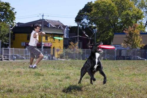 Животные, попавшие в книгу рекордов Гиннеса