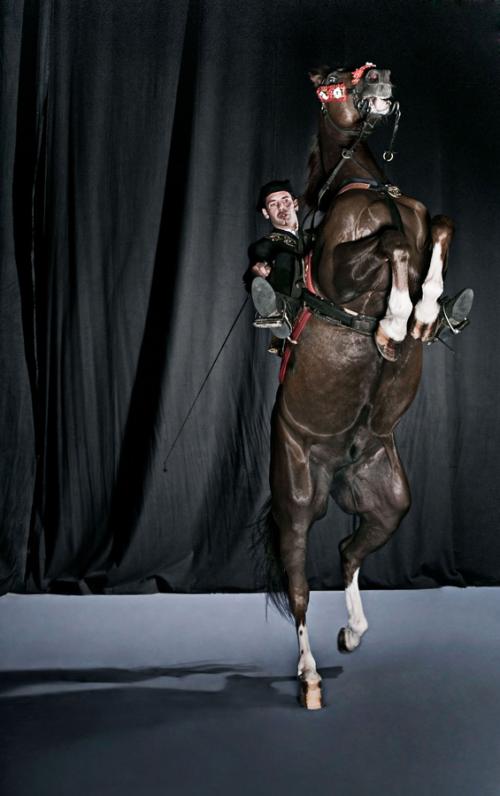 Животные, попавшие в книгу рекордов Гиннеса