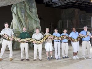 Животные, попавшие в книгу рекордов Гиннеса