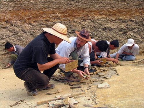 Птерозавр-воробей поедал на завтрак насекомых мезозоя