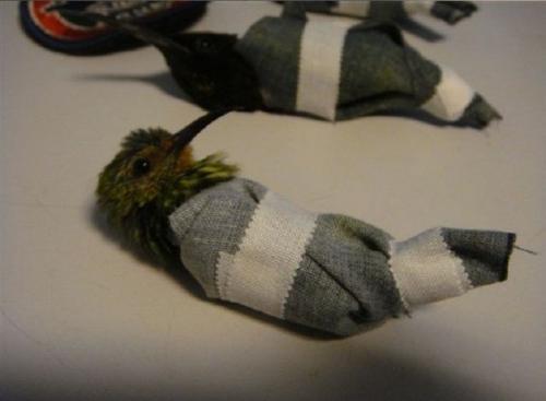 Самые изощренные способы контрабанды товаров и людей