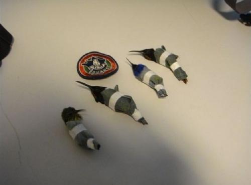 Самые изощренные способы контрабанды товаров и людей