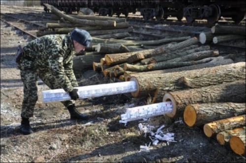Самые изощренные способы контрабанды товаров и людей